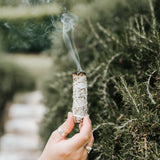 Weißer Salbei Smudge Sticks