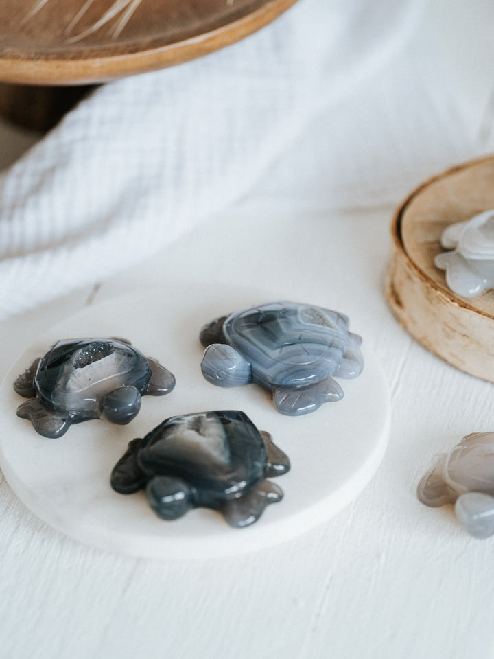 Druzy Achat Schildkröte