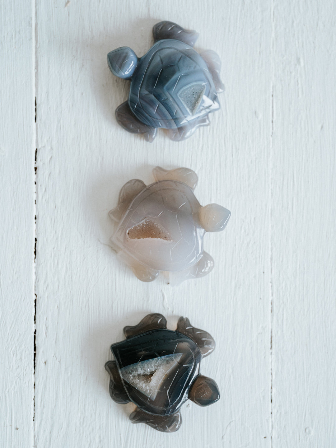 Druzy Achat Schildkröte