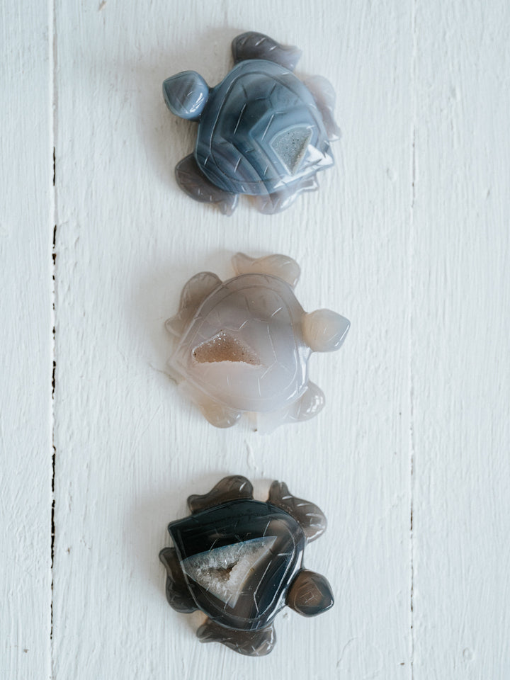 Druzy Achat Schildkröte