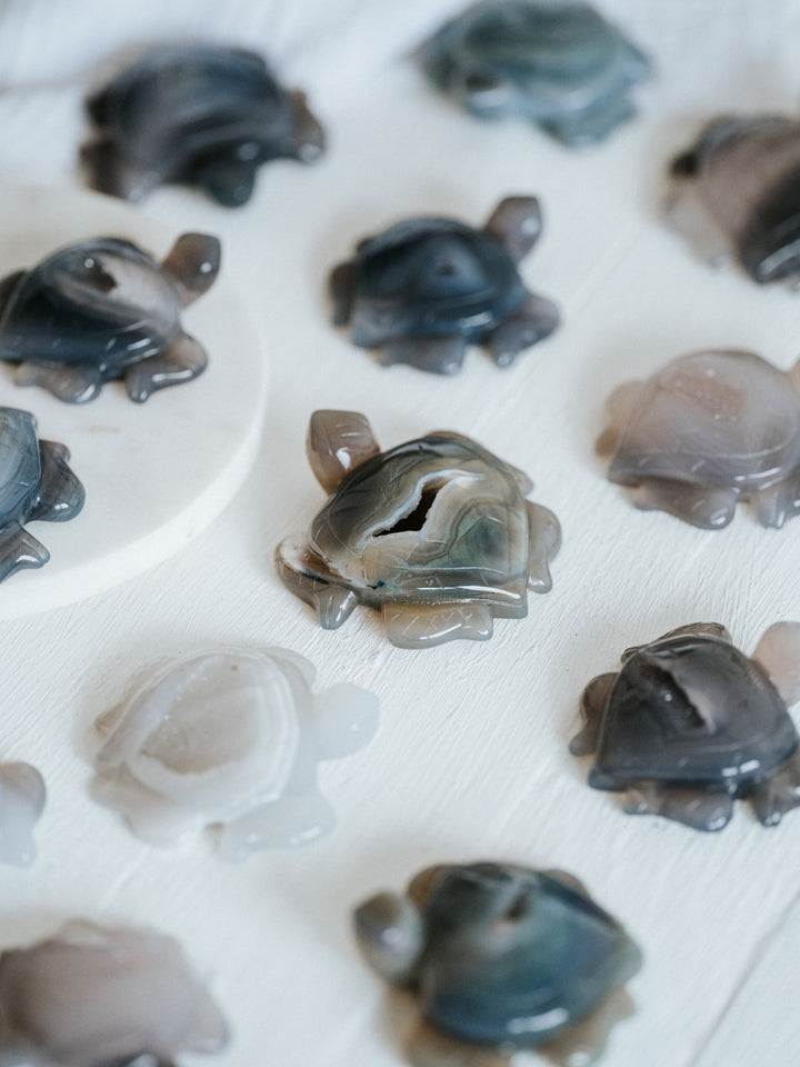 Druzy Achat Schildkröte